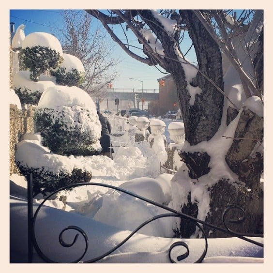 new york neige new york neige
